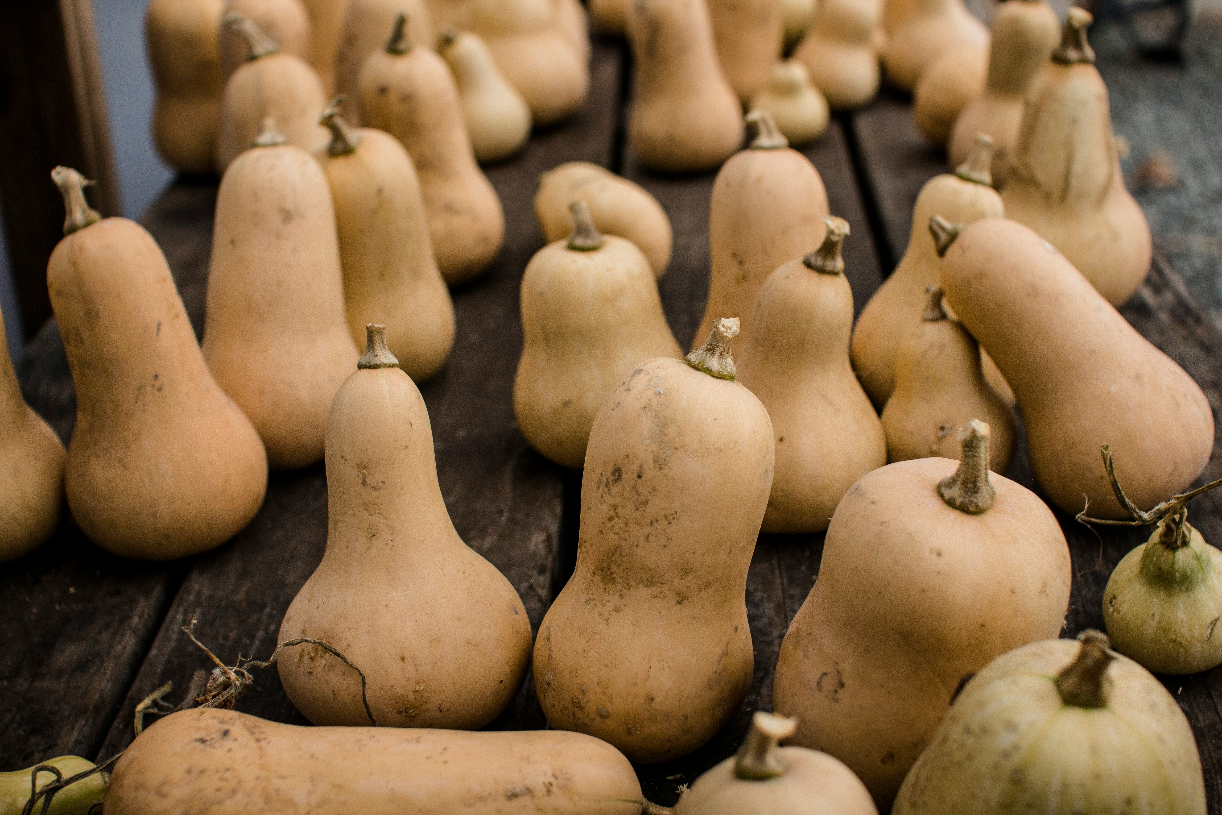 Butternut squash cut in half